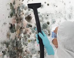 Reliable Salem, SD Mold Prevention & Removal  Solutions